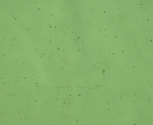 SELFA™UV工序中的玻璃凹痕